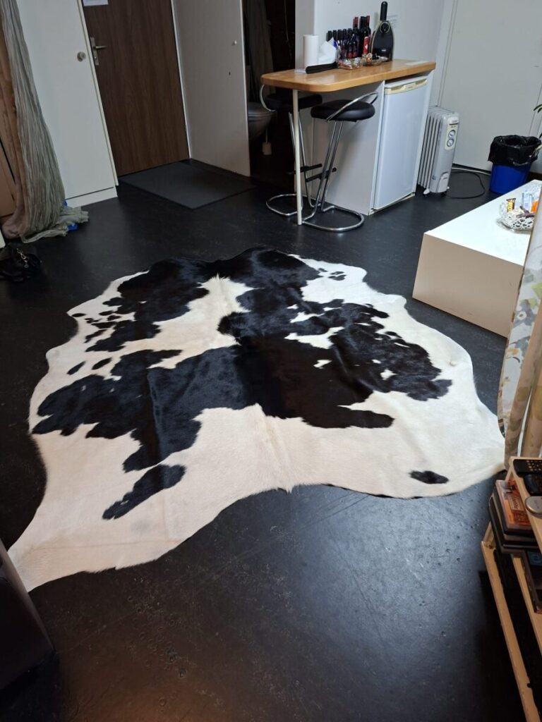 Seitensprungzimmer, Hergiswil, Kuhfell 2