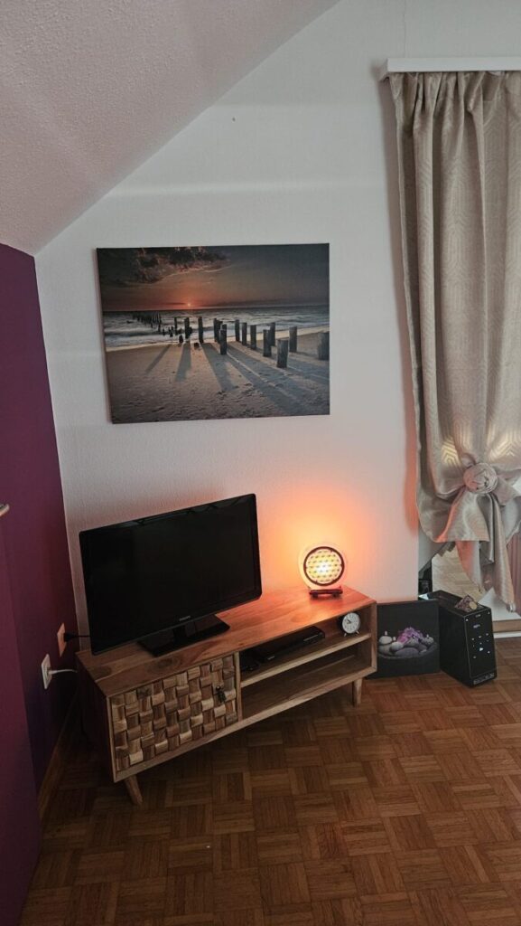 Seitensprungzimmer-Winterthur-Purple-wood-paradise-Fernseher.