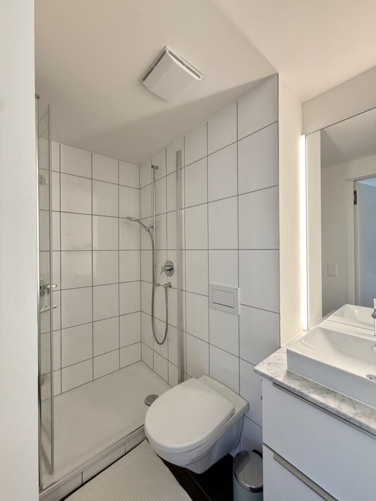 Seitensprungzimmer, Zuerich Helvetiaplatz, Bad