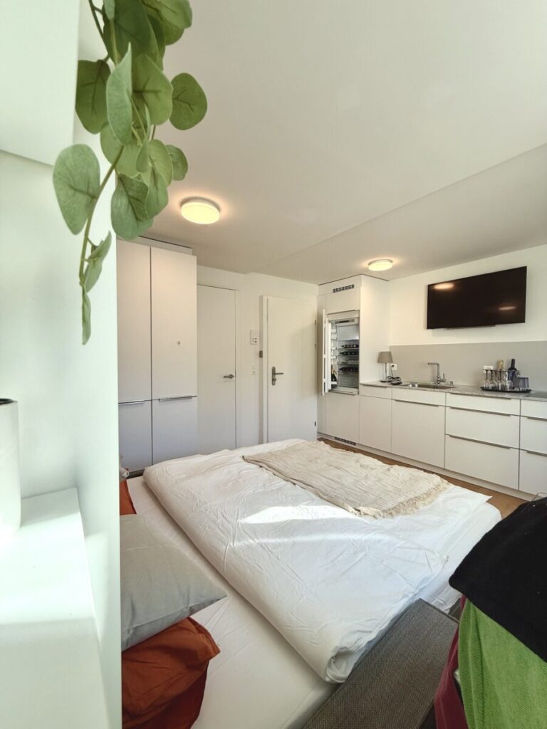 Seitensprungzimmer, Zuerich Helvetiaplatz, Fernseher