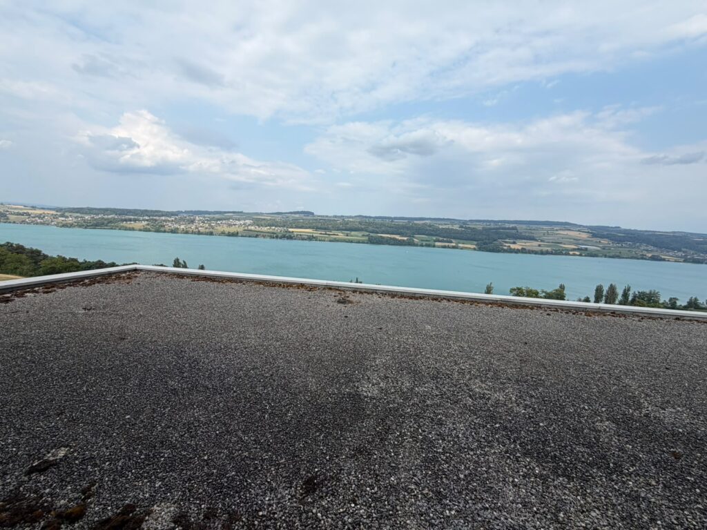 Seitensprungzimmer Beinwil am See, Deluxe Panorama, Aussicht