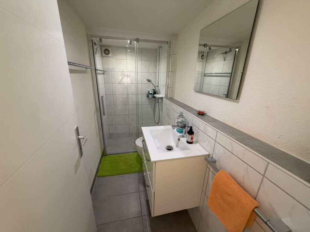 Seitensprungzimmer Beinwil am See, Deluxe Panorama, Bad
